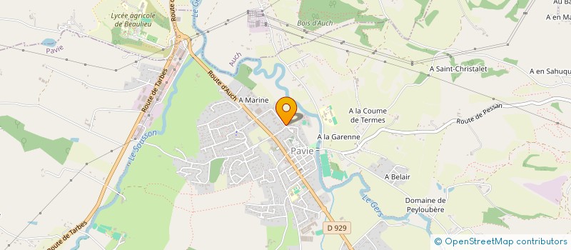 localisation de l'entreprise COMMUNAUTE PROFESSIONNELLE TERRITORIALE DE SANTE DU BASSIN D'AUCH  PAVIE