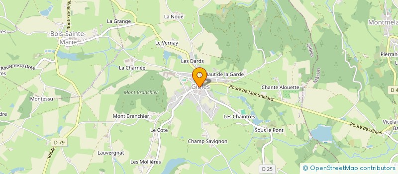 localisation de l'entreprise COMMUNE DE GIBLES  GIBLES
