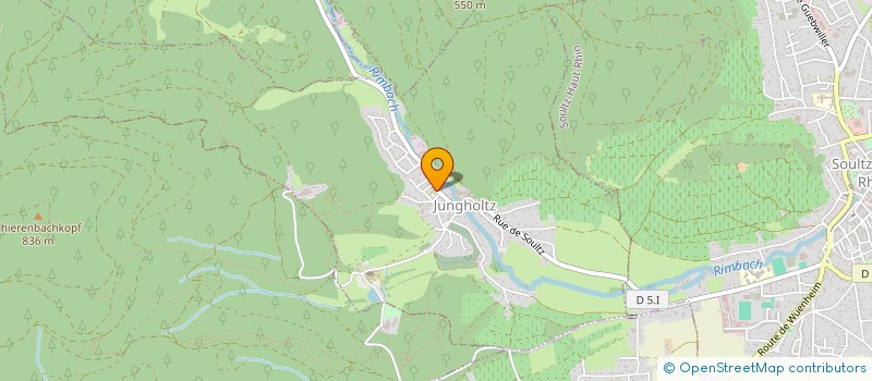 localisation de l'entreprise COMMUNE DE JUNGHOLTZ  JUNGHOLTZ