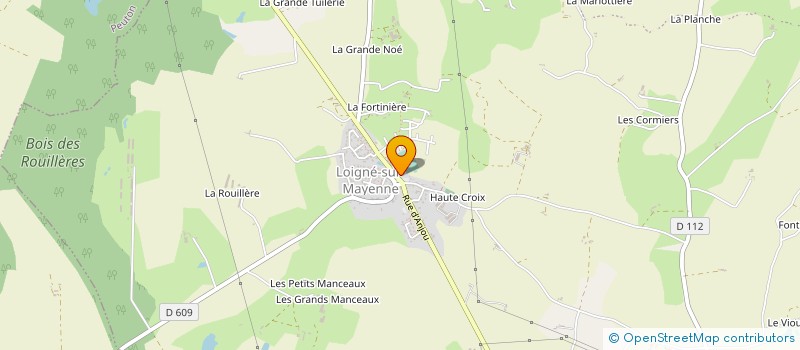 localisation de l'entreprise COMMUNE DE LA ROCHE-NEUVILLE à LA ROCHE-NEUVILLE