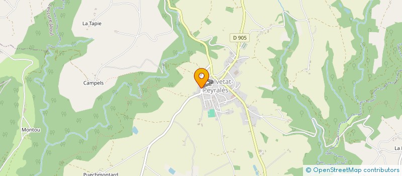 localisation de l'entreprise COMMUNE DE LA SALVETAT PEYRALES  LA SALVETAT-PEYRALES