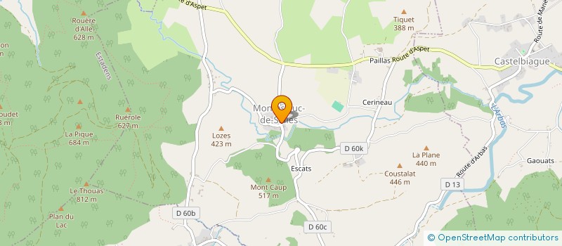 localisation de l'entreprise COMMUNE DE MONTASTRUC DE SALIES  MONTASTRUC-DE-SALIES