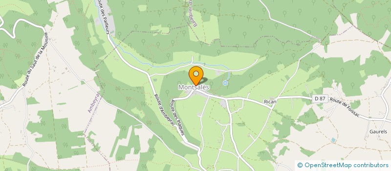localisation de l'entreprise COMMUNE DE MONTSALES  MONTSALES