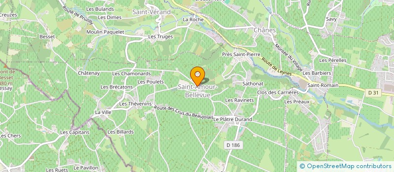 localisation de l'entreprise COMMUNE DE SAINT-AMOUR-BELLEVUE  SAINT-AMOUR-BELLEVUE