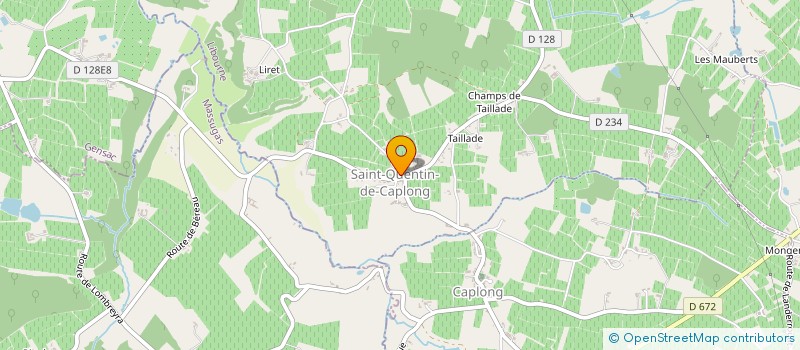 localisation de l'entreprise COMMUNE DE SAINT QUENTIN DE CAPLONG  SAINT-QUENTIN-DE-CAPLONG