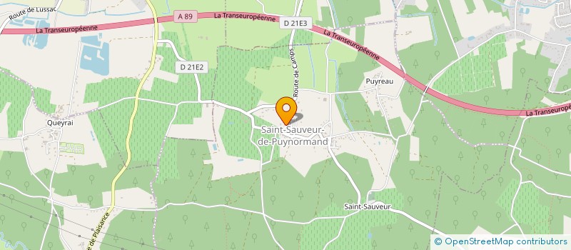 localisation de l'entreprise COMMUNE DE SAINT SAUVEUR DE PUYNORMAND  SAINT-SAUVEUR-DE-PUYNORMAND