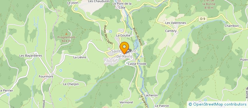 localisation de l'entreprise COMMUNE DE SAINT VINCENT DE REINS  SAINT-VINCENT-DE-REINS