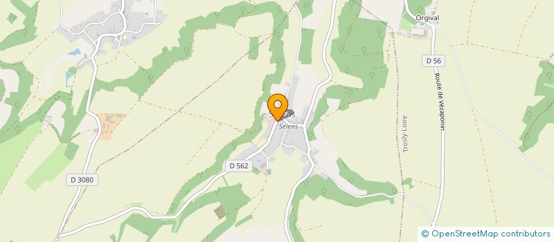 localisation de l'entreprise COMMUNE DE SELENS  SELENS