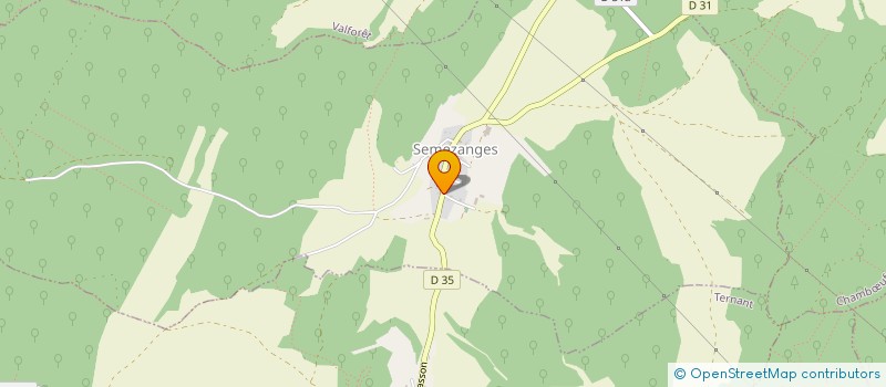 localisation de l'entreprise COMMUNE DE SEMEZANGES  SEMEZANGES
