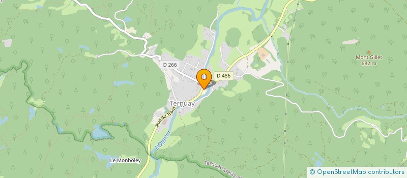 localisation de l'entreprise COMMUNE DE TERNUAY-MELAY-ET-ST-HILAIRE  TERNUAY-MELAY-ET-SAINT-HILAIRE