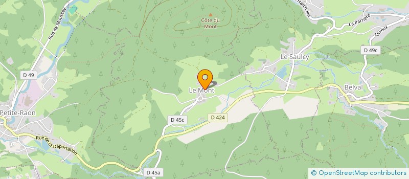 localisation de l'entreprise COMMUNE LE MONT  LE MONT