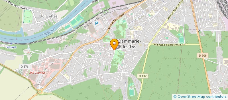 localisation de l'entreprise COMMUNITY DEVELOPMENT INITIATIVE INTERNATIONAL à DAMMARIE-LES-LYS