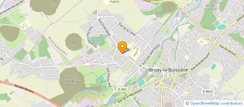 localisation de l'entreprise COMPAGNIE ALIENES à BRUAY-LA-BUISSIERE