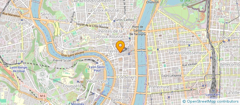 localisation de l'entreprise COMPAGNIE D ETOURNEE à LYON
