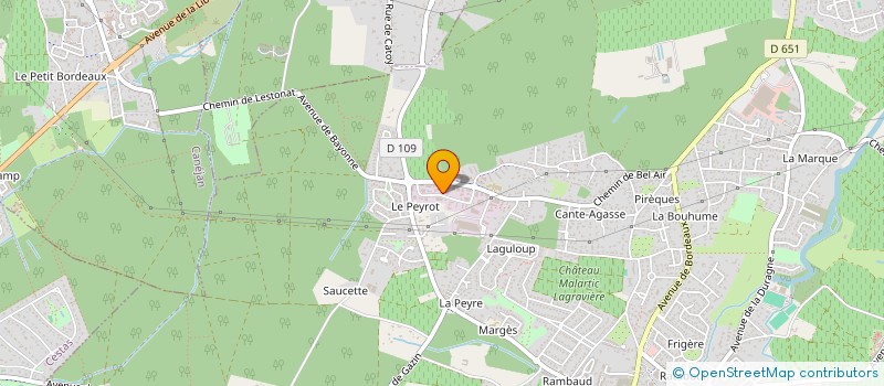 localisation de l'entreprise COMPAGNIE DE DANSE ARLETTE PLAULT à LEOGNAN