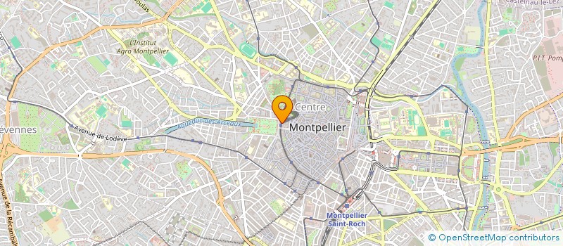 localisation de l'entreprise COMPAGNIE DE DANSE MUSE à MONTPELLIER
