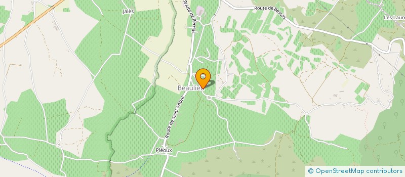 localisation de l'entreprise COMPAGNIE DE THEATRE AMATEUR L'EMPORTE PIECES  SAINT-ANDRE-DE-CRUZIERES