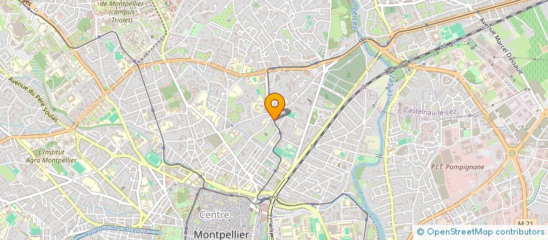 localisation de l'entreprise COMPAGNIE DES BASKETS DANSANTES à MONTPELLIER