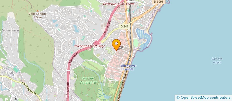 localisation de l'entreprise COMPAGNIE DES BOIS EXOTIQUES à VILLENEUVE-LOUBET
