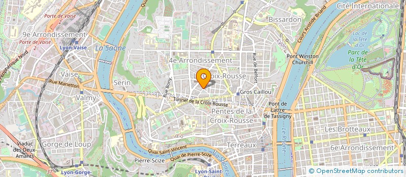 localisation de l'entreprise COMPAGNIE DES INSOMNIAQUES à LYON