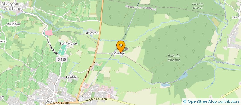 localisation de l'entreprise COMPAGNIE DU BONHEUR VERT à BISSEY-SOUS-CRUCHAUD