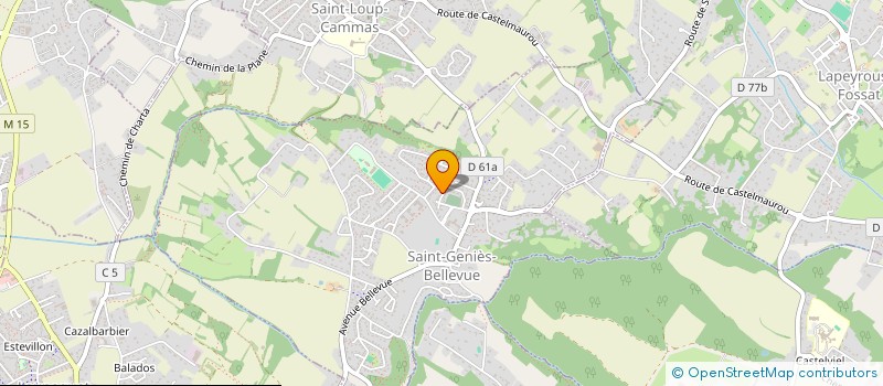 localisation de l'entreprise COMPAGNIE LES CHIENS MORTS  SAINT-GENIES-BELLEVUE