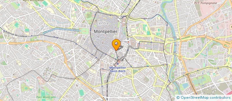 localisation de l'entreprise COMPAGNIE LES MUSES A CORNES à MONTPELLIER