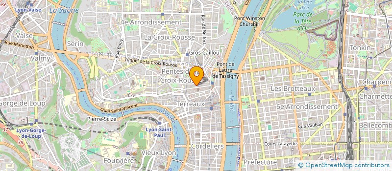 localisation de l'entreprise COMPAGNIE MARCHE AU VOL à LYON