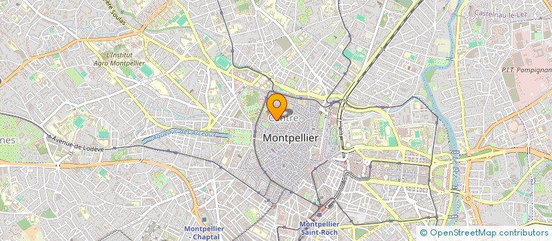 localisation de l'entreprise COMPAGNIE PALIMP'ZESTE à MONTPELLIER