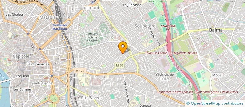 localisation de l'entreprise COMPAGNIE PING-PONG SOUS LES ARBRES à TOULOUSE