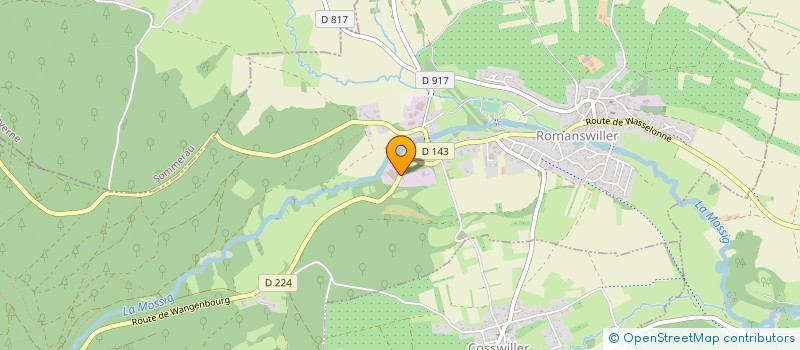 localisation de l'entreprise COMPAGNIE POUR LE DEVELOPPEMENT ET LA VALORISATION DES TRAITEMENTS CDVT FRANCE à ROMANSWILLER