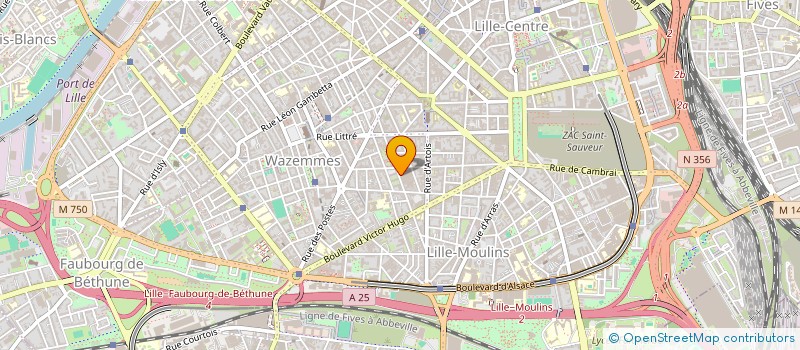 localisation de l'entreprise COMPAGNIE TAPIS NOIR à LILLE