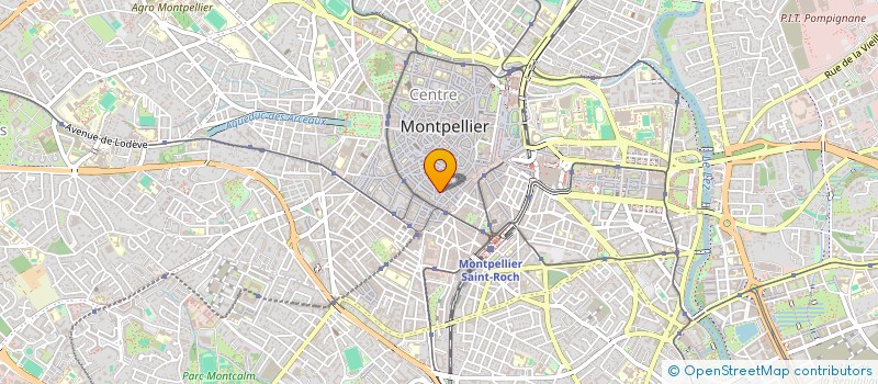 localisation de l'entreprise COMPAGNIE THEATRALE DES ERINNYES à MONTPELLIER
