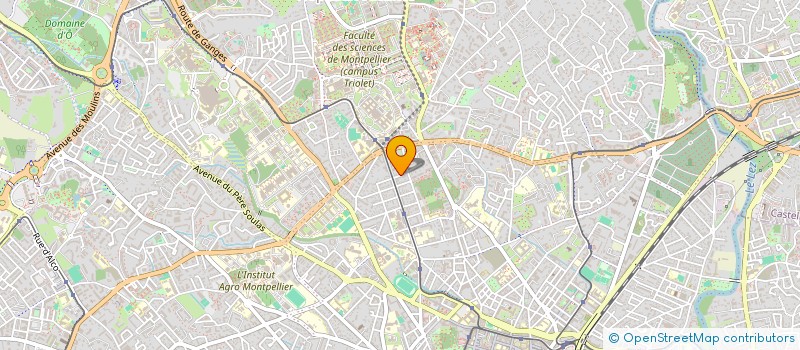 localisation de l'entreprise COMPAGNIE THEATRALE PAROLE D UN SOIR à MONTPELLIER