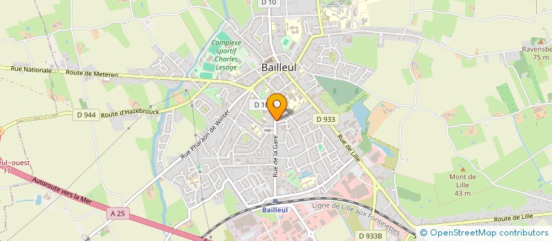 localisation de l'entreprise COMPAGNIE TRETEAUX DANS LA NUIT à BAILLEUL