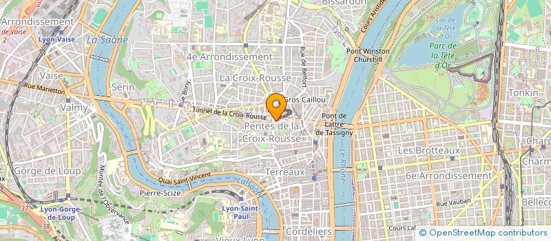 localisation de l'entreprise COMPLEX NETWORKS à LYON