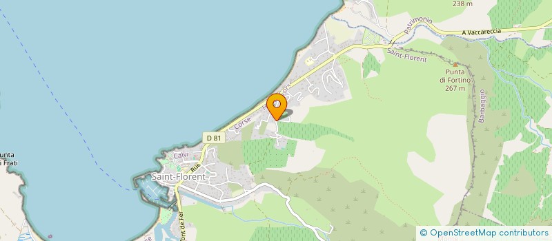 localisation de l'entreprise CONCA INVEST  SAINT-FLORENT