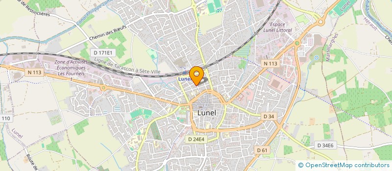 localisation de l'entreprise CONCIERGERIE ALL INCLUSIVE  LUNEL