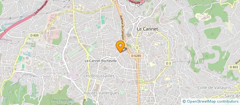 localisation de l'entreprise CONCIERGERIE SERVICE à LE CANNET