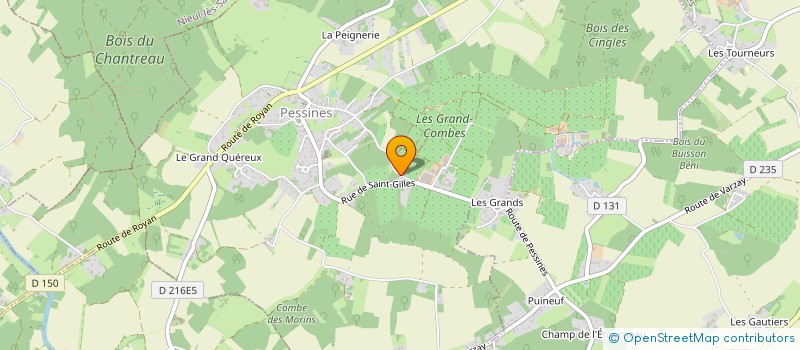 localisation de l'entreprise CONDI FRUITS  PESSINES