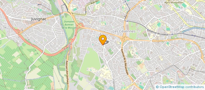 localisation de l'entreprise CONDUITE ACCOMP PERSO & PREST SOCIALES  MONTPELLIER