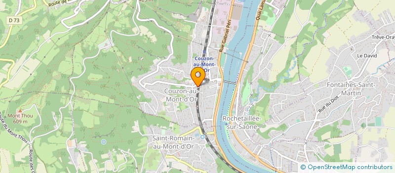 localisation de l'entreprise CONFLUANCE DISTRIBUTION à COUZON-AU-MONT-D'OR