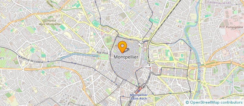 localisation de l'entreprise CONGREGATION DE LA MISSION LAZARISTE à MONTPELLIER