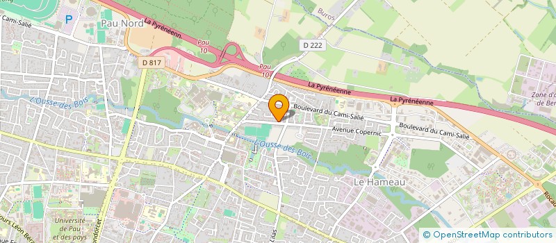 localisation de l'entreprise CONSCIENTIA à PAU