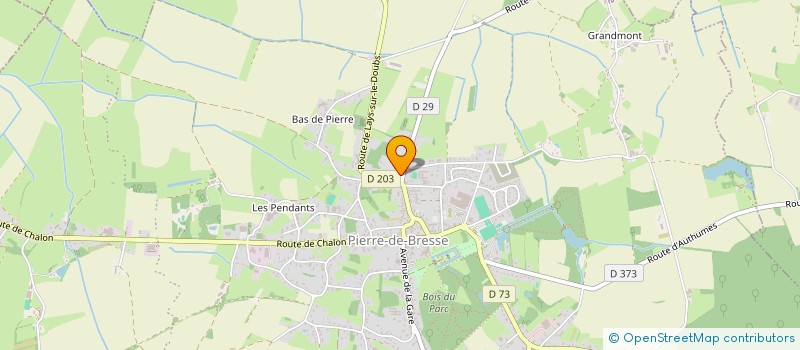 localisation de l'entreprise CONSCRITS DE PIERRE DE BRESSE  PIERRE-DE-BRESSE