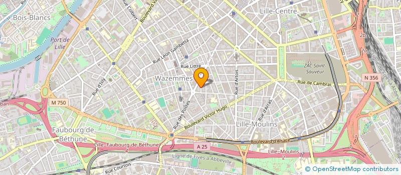 localisation de l'entreprise CONSEIL DE PARENTS D'ELEVES FCPE DU COLLEGE DE WAZEMMES DE LILLE à LILLE