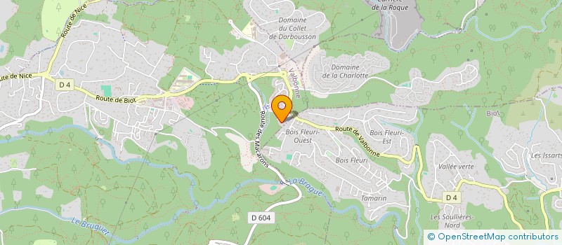 localisation de l'entreprise CONSEIL EN ENERGIE DEVELOPPEMENT DURABLE RESSOURCES LOCALES ET EN ENVIRONNEMENT à VALBONNE