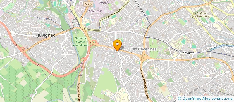 localisation de l'entreprise CONSEIL IMMO CONSTRUCTIONS TRADITIONNELL à MONTPELLIER