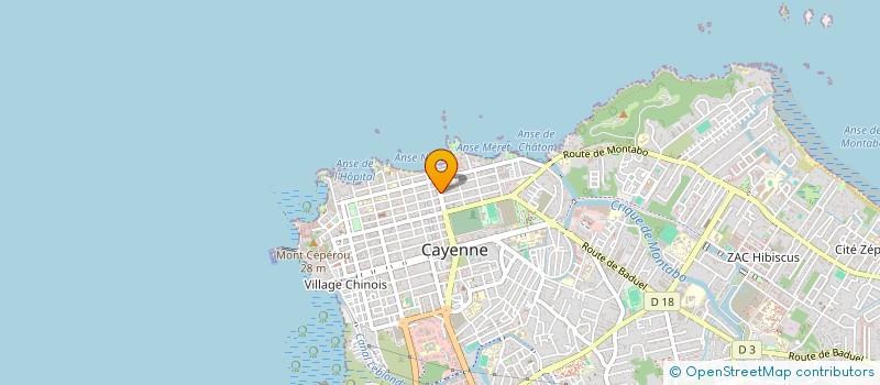 localisation de l'entreprise CONSEIL ORGANI GESTION INFOR TECHN OPTIM à CAYENNE