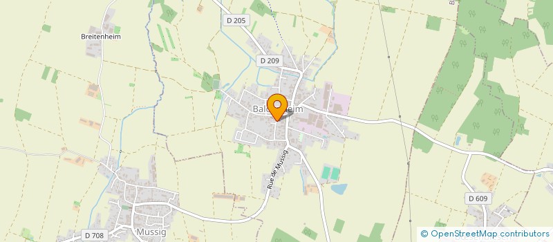 localisation de l'entreprise CONSEIL PRESBYTERAL EGLISE LUTHERIENNE - PAROISSE DE BALDENHEIM  BALDENHEIM